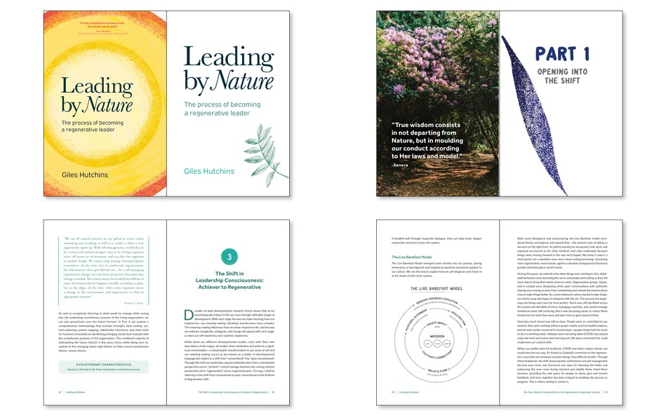 Book on regenerative leadership and environmental responsibilities example.