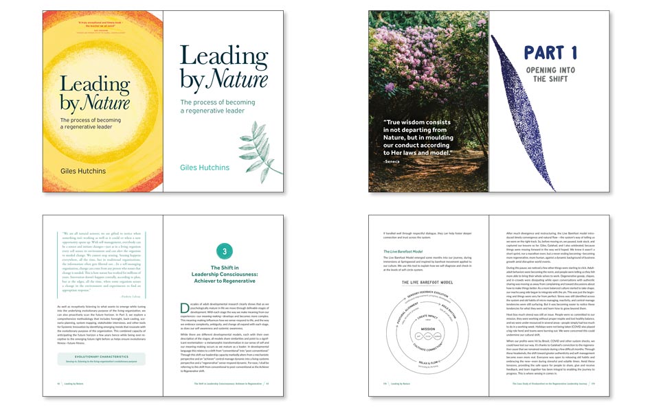 Book on regenerative leadership and environmental responsibilities example