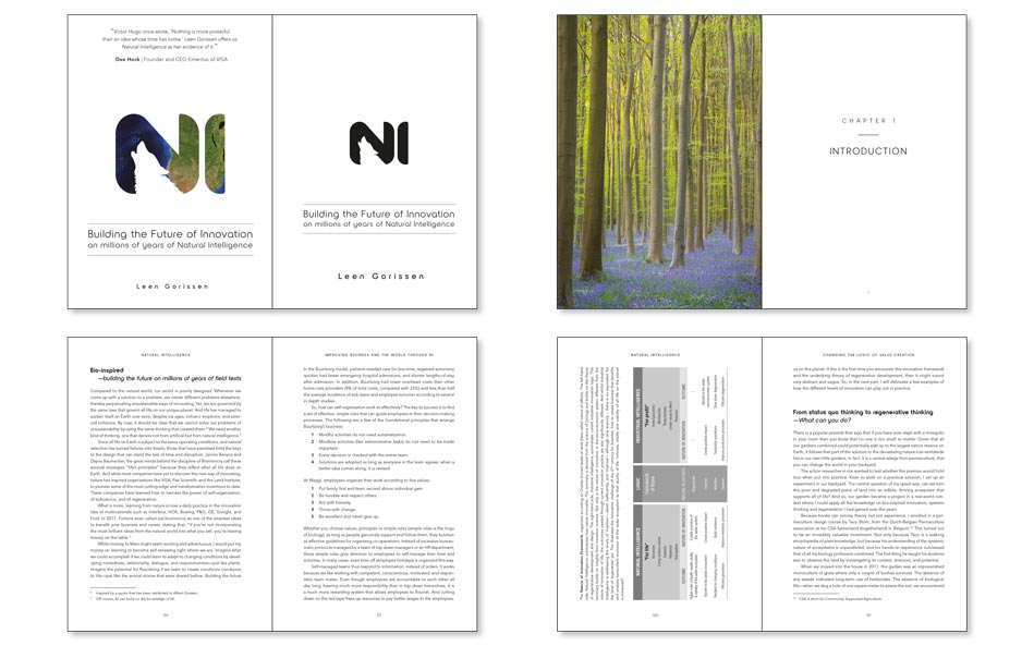 Natural intelligence business book on the future of innovation example