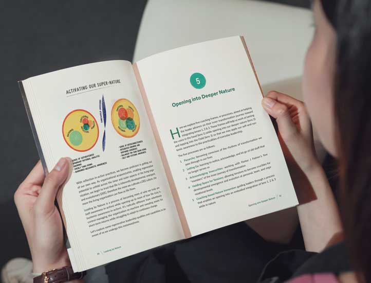 Nonfiction book formatting services Nonfiction book formatting with structured headings and illustrated pages